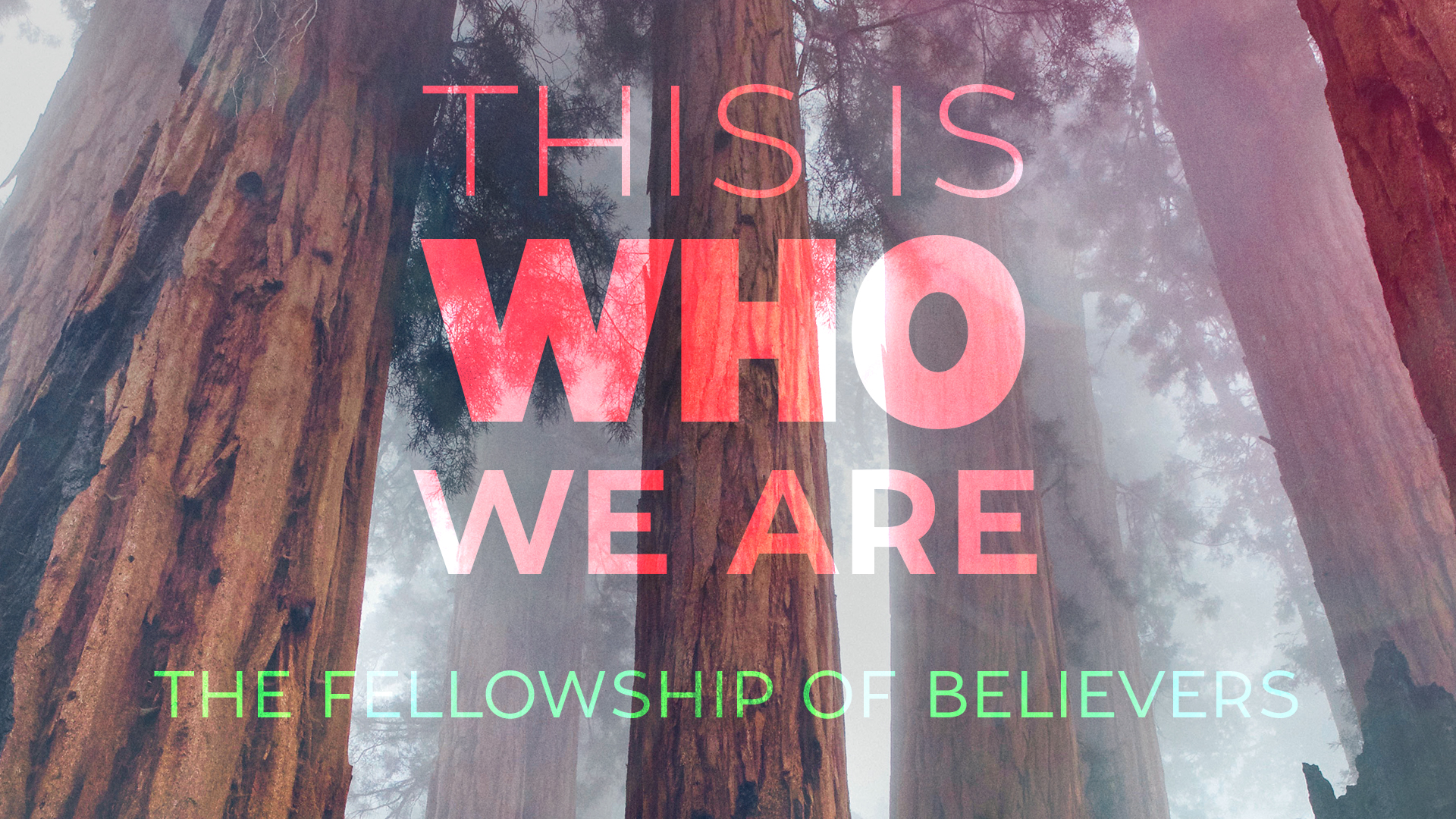 The Fellowship of Believers